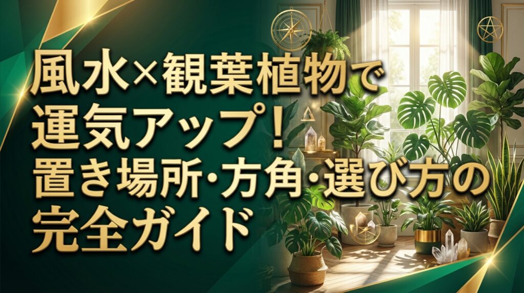 風水×観葉植物で運気アップ！置き場所・方角・選び方の完全ガイド