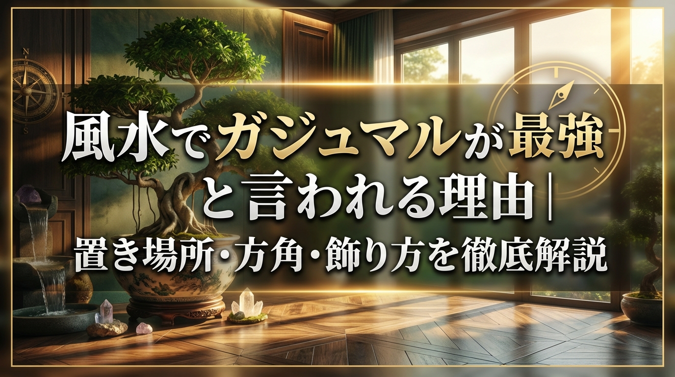 風水でガジュマルが最強と言われる理由｜置き場所・方角・飾り方を徹底解説