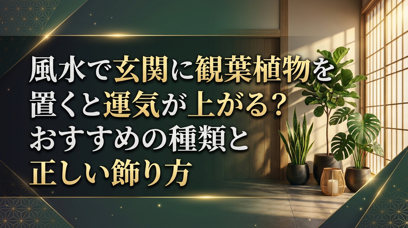 風水で玄関に観葉植物を置くと運気が上がる?おすすめの種類と正しい飾り方