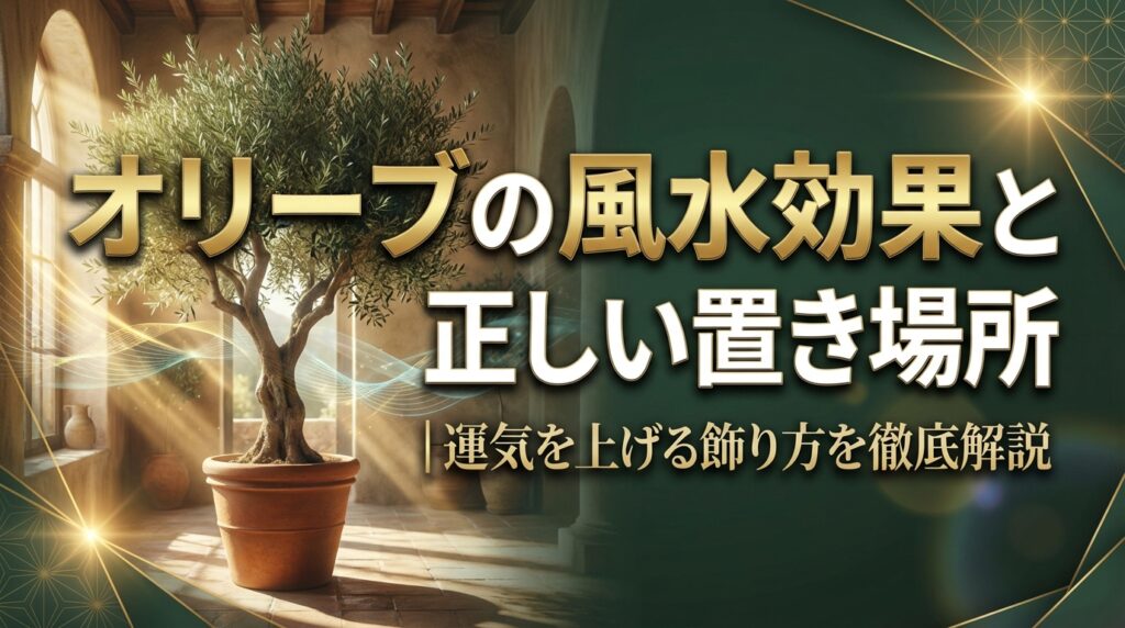 オリーブの風水効果と正しい置き場所｜運気を上げる飾り方を徹底解説