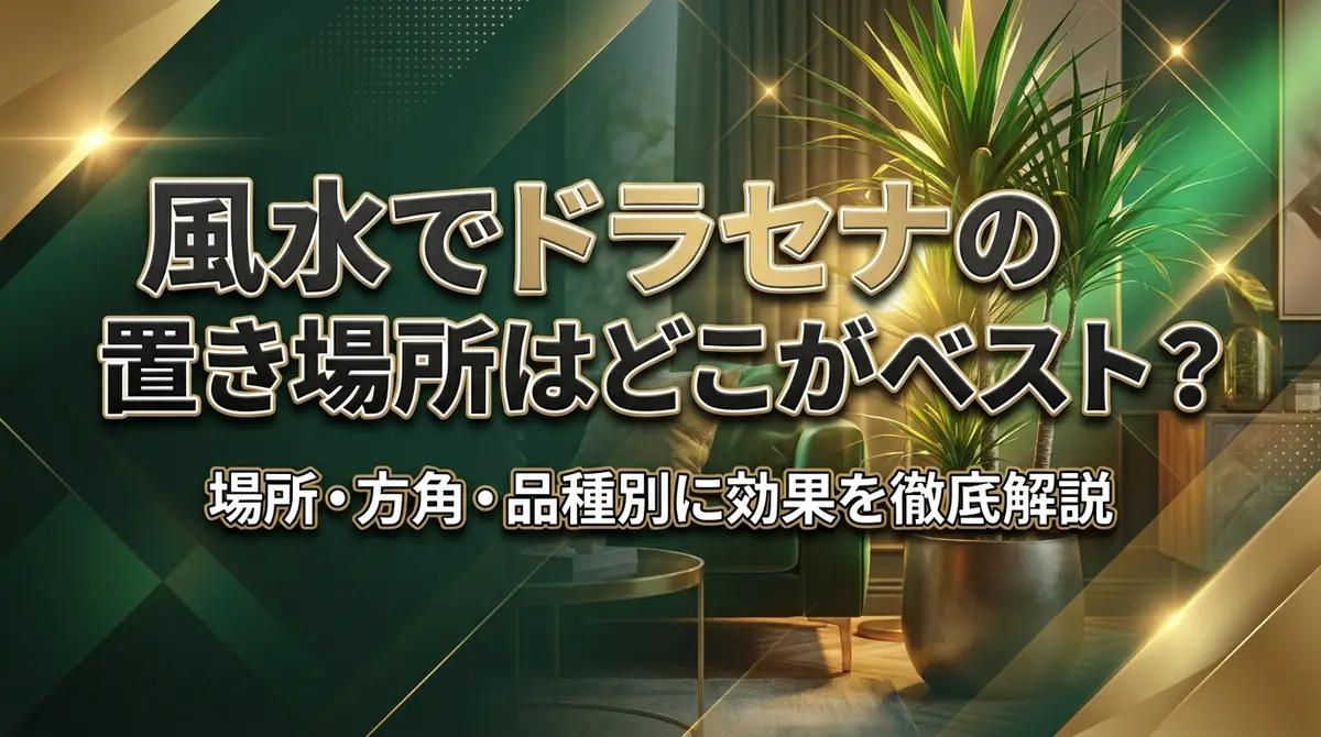 風水でドラセナの置き場所はどこがベスト？場所・方角・品種別に効果を徹底解説